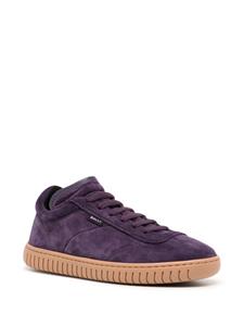 Bally Player lace-up suede sneakers - Paars