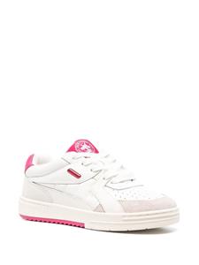 Palm Angels Palm University low-top sneakers - Wit