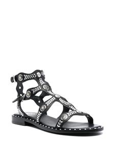 Ash Pacha sandalen verfraaid met studs - Zwart