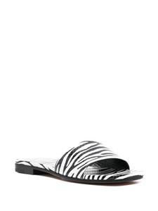 Paris Texas Rosa sandalen met zebraprint - Zwart