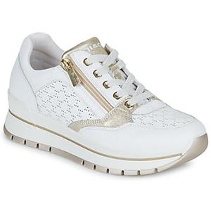 IGI&Co Lage Sneakers IgI&CO DONNA ANISIA