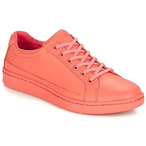 Timberland Lage Sneakers  San Francisco Flavor Oxford