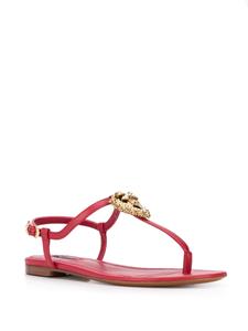 Dolce & Gabbana Devotion sandalen - Rood