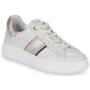 NeroGiardini Lage Sneakers  E306554D-713