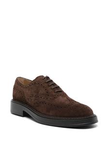 Tod's Suède brogues - Bruin