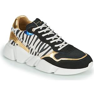 Serafini Lage Sneakers  OREGON