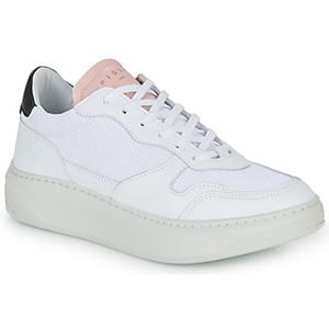 Piola  Sneaker CAYMA