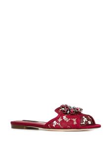 Dolce & Gabbana Bianca sandalen - Rood