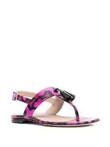 Scarosso Emma sandalen met slangenhuid-effect - Roze