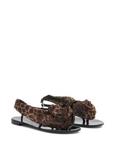 Giuseppe Zanotti Milonga sandalen met luipaardprint - Zwart