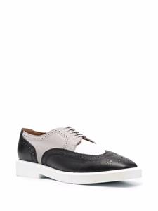 Robert Clergerie Oxford schoenen met colourblocking - Zwart