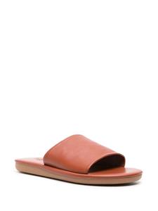 Ancient Greek Sandals Cerastes flat leather sandals - Bruin