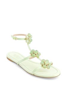 Giambattista Valli flower-detailing leather sandals - Groen