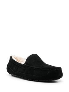 UGG Ascot Matte suede slippers - Zwart