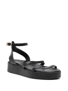 Ancient Greek Sandals Nissida 40mm leather sandals - BLACK