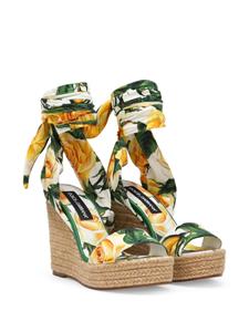 Dolce & Gabbana Sandalen met sleehak en bloemenprint - Groen