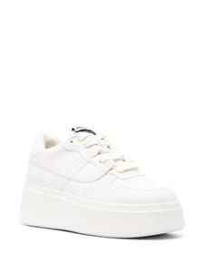 Ash Match sneakers met plateauzool - Wit