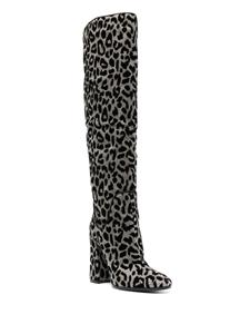 Dolce & Gabbana Cardinale laarzen met luipaardjacquard - Grijs