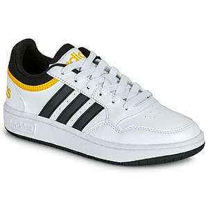 Adidas Lage Sneakers  HOOPS 3.0 K