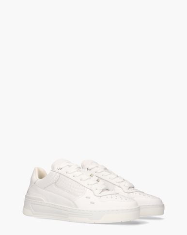Filling Pieces Cruiser Crumbs Wit