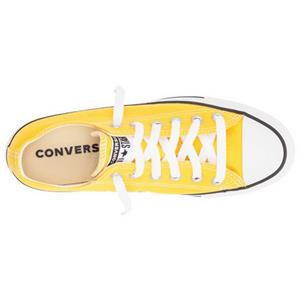 Converse Sneakers