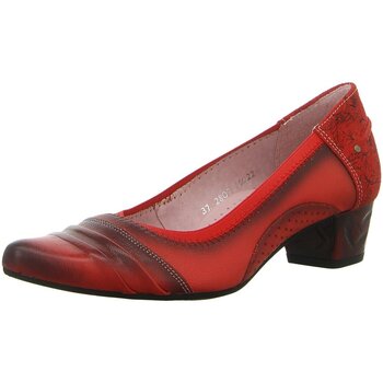 Maciejka Pumps  -