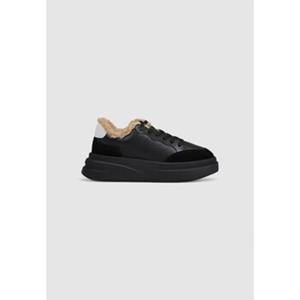 Ash Women sneakers