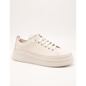 Camper Sneakers  -