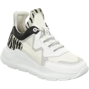 Cetti Sneakers  -