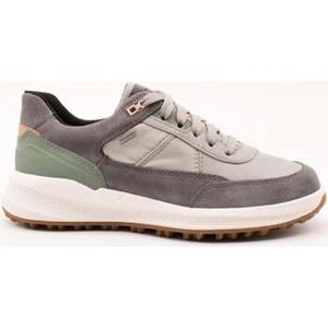 Geox Sneakers  -