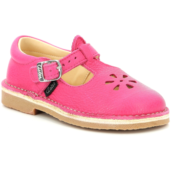 Aster Ballerina's  Dingo-2