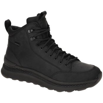 Geox Laarzen  -