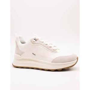 Geox Sneakers  -