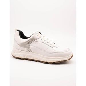 Geox Sneakers  -