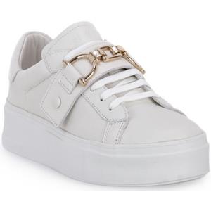 Frau Sneakers  BIANCO MOUSSE
