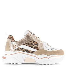 DWRS Label Pluto leopard
