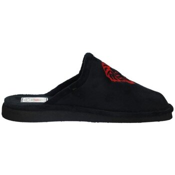 Andinas Pantoffels  -