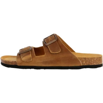 Plakton Slippers  250247