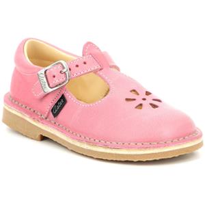 Aster Ballerina's  Dingo-2