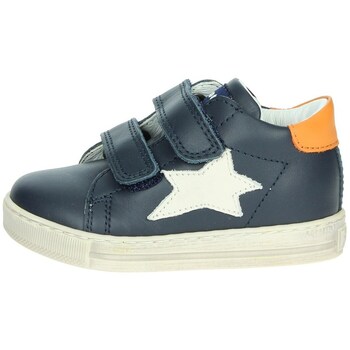 Falcotto Sneakers  -