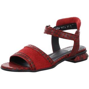 Simen Sandalen  -