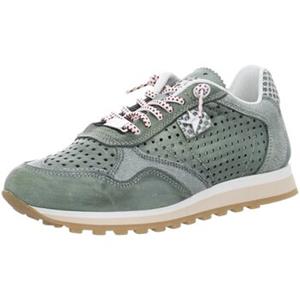 Cetti Sneakers  -