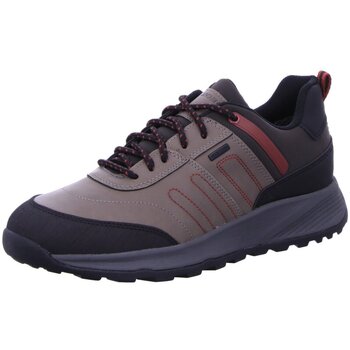 Geox Nette Schoenen  -