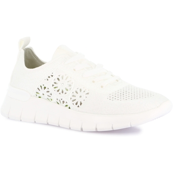 Grunland Lage Sneakers  DSG-SC4582