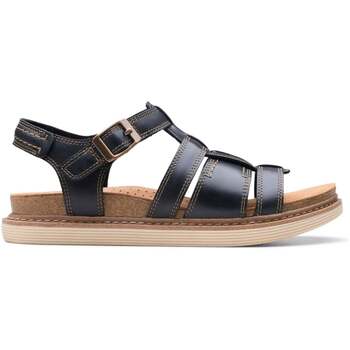 Clarks Sandalen  Arwell Sun