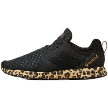 ARIAT Sneakers  Baskets femme Fuse