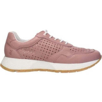 Salamander Lage Sneakers  -