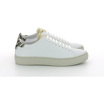 Piola Sneakers  Baskets femme Huaraz Li