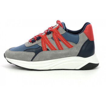 Piola Sneakers  Baskets femme Ica