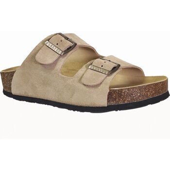 Plakton Slippers  Cp beta